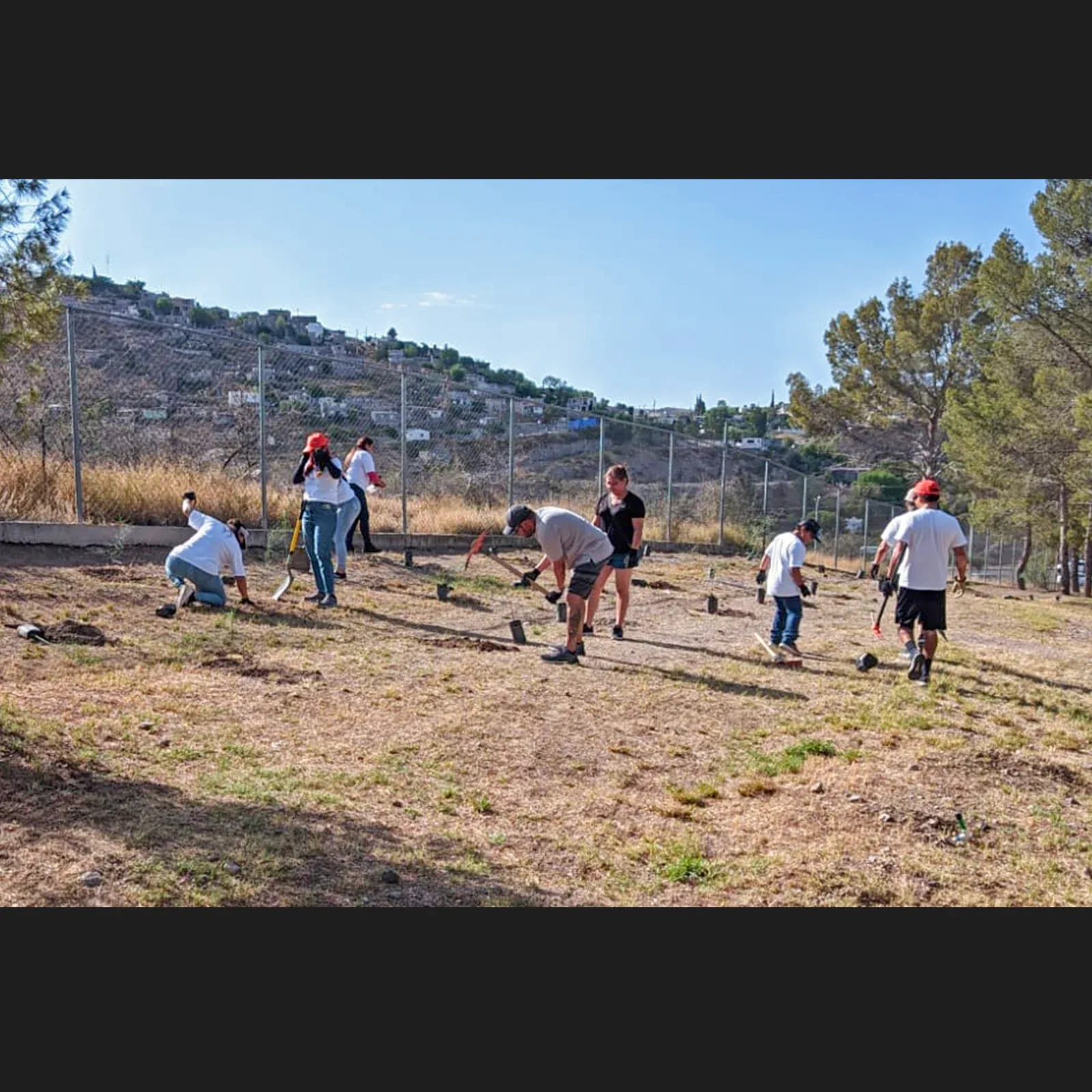 Personas picando la tierra para plantar arboles