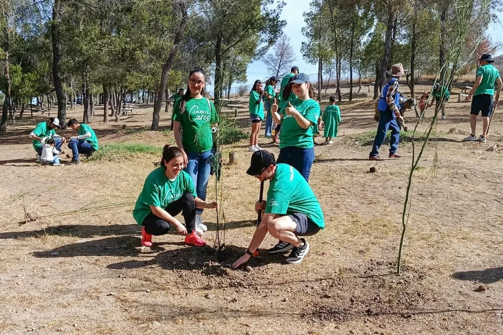 Un grupo de voluntarios de distintas edades trabaja en equipo plantando hileras de árboles jóvenes en un parque comunitario.